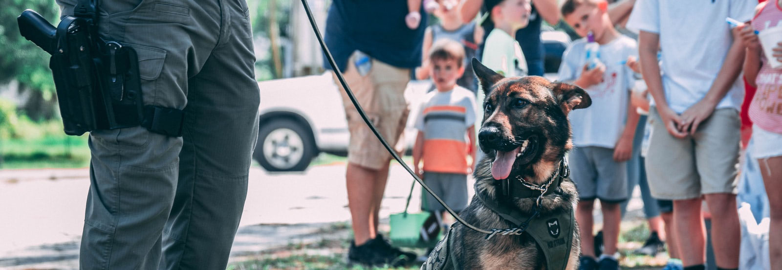 Security Dog Training